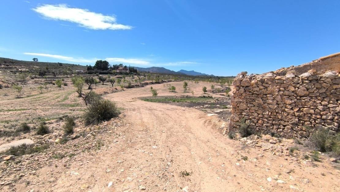 Sale - Country House - Pinoso - Pinoso Centro