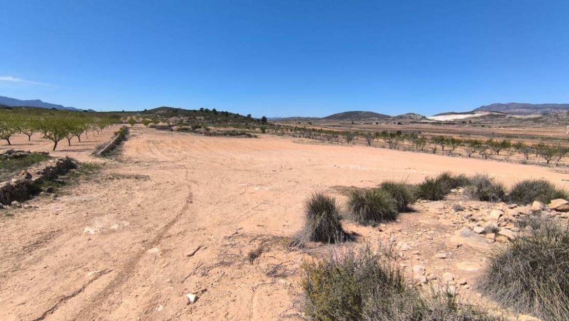 Sale - Country House - Pinoso - Pinoso Centro