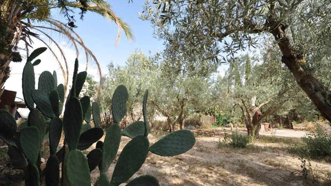 Sale - Country House - Pinoso - Pinoso Centro