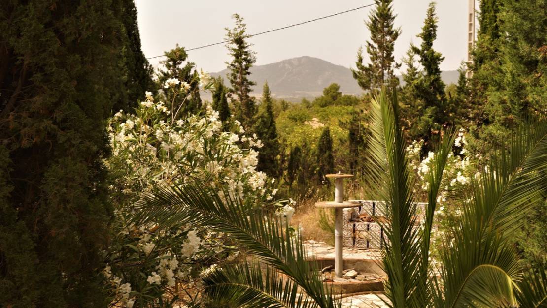 Sale - Country House - Salinas - Salinas Centro