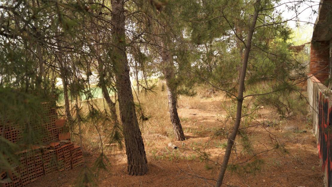 Sale - Country House - Salinas - Salinas Centro