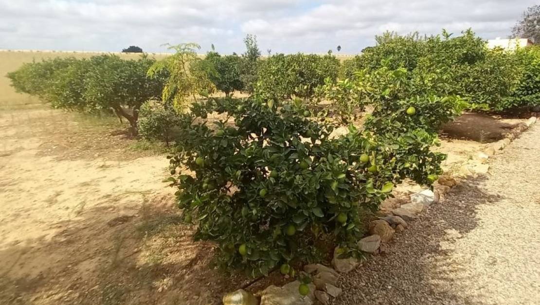 Sale - Country House - San Javier - San Javier Centro