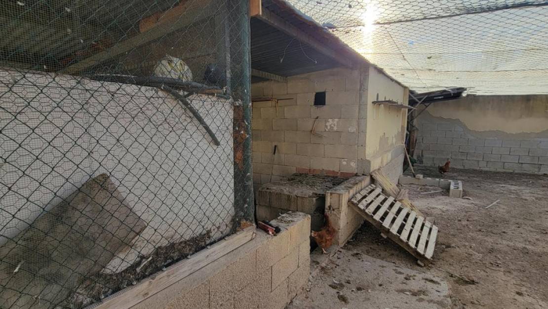 Sale - Country House - San Miguel de Salinas - San Miguel de Salinas Centro