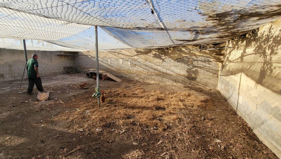 Sale - Country House - San Miguel de Salinas - San Miguel de Salinas Centro