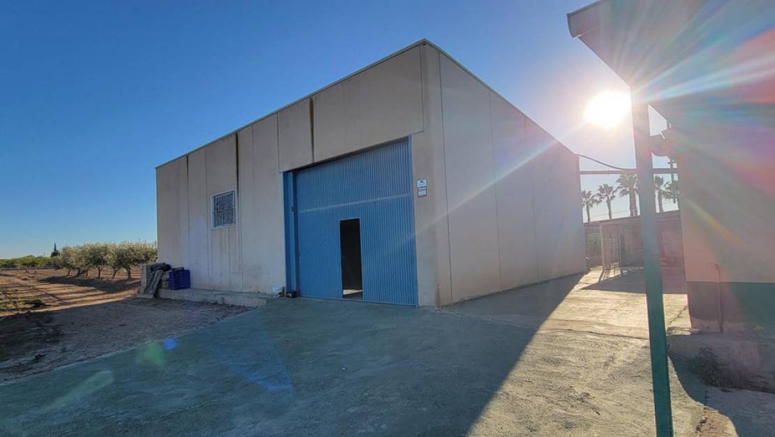 Sale - Country House - San Miguel de Salinas - San Miguel de Salinas Centro