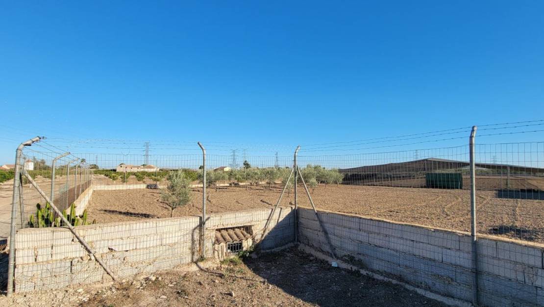 Sale - Country House - San Miguel de Salinas - San Miguel de Salinas Centro