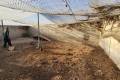 Sale - Country House - San Miguel de Salinas - San Miguel de Salinas Centro