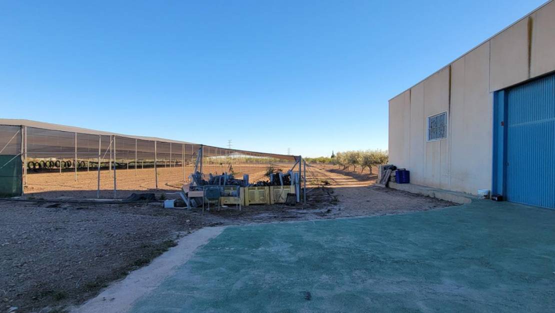 Sale - Country House - San Miguel de Salinas - San Miguel de Salinas Centro