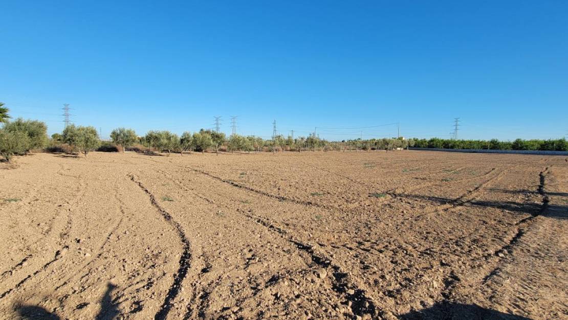 Sale - Country House - San Miguel de Salinas - San Miguel de Salinas Centro
