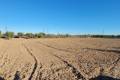 Sale - Country House - San Miguel de Salinas - San Miguel de Salinas Centro
