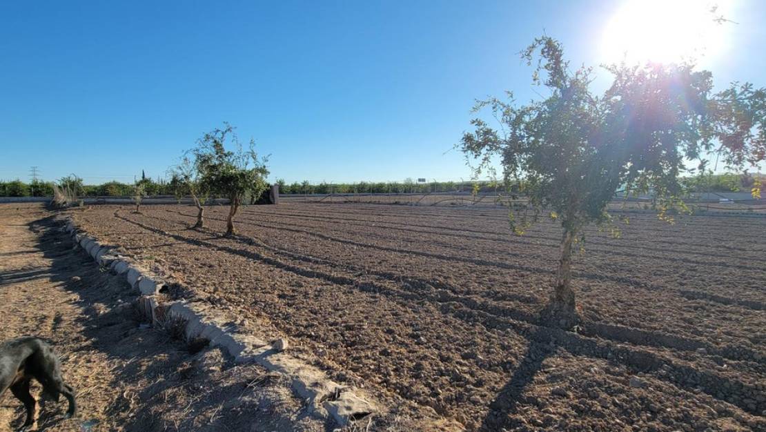 Sale - Country House - San Miguel de Salinas - San Miguel de Salinas Centro