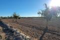 Sale - Country House - San Miguel de Salinas - San Miguel de Salinas Centro