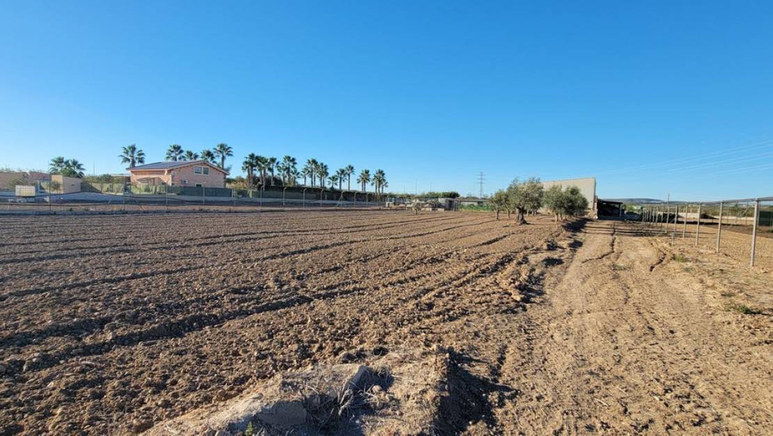 Sale - Country House - San Miguel de Salinas - San Miguel de Salinas Centro