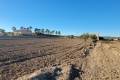 Sale - Country House - San Miguel de Salinas - San Miguel de Salinas Centro