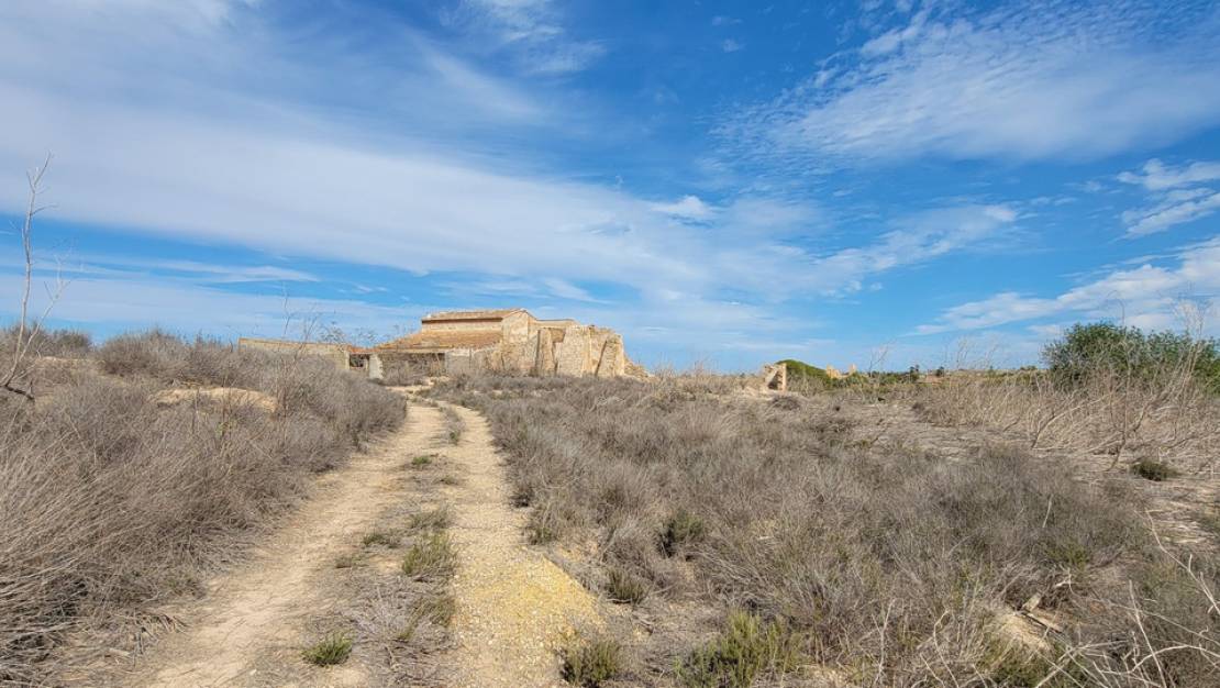 Sale - Country House - San Miguel de Salinas - San Miguel de Salinas Centro