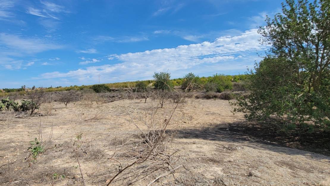 Sale - Country House - San Miguel de Salinas - San Miguel de Salinas Centro
