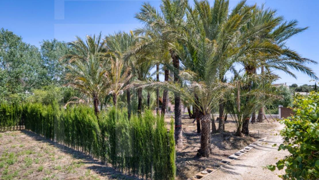 Sale - Country House - Teulada - Teulada Centro