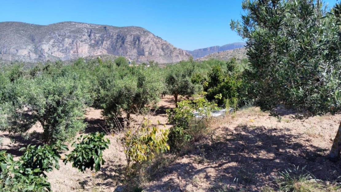 Sale - Country House - Teulada - Teulada Centro