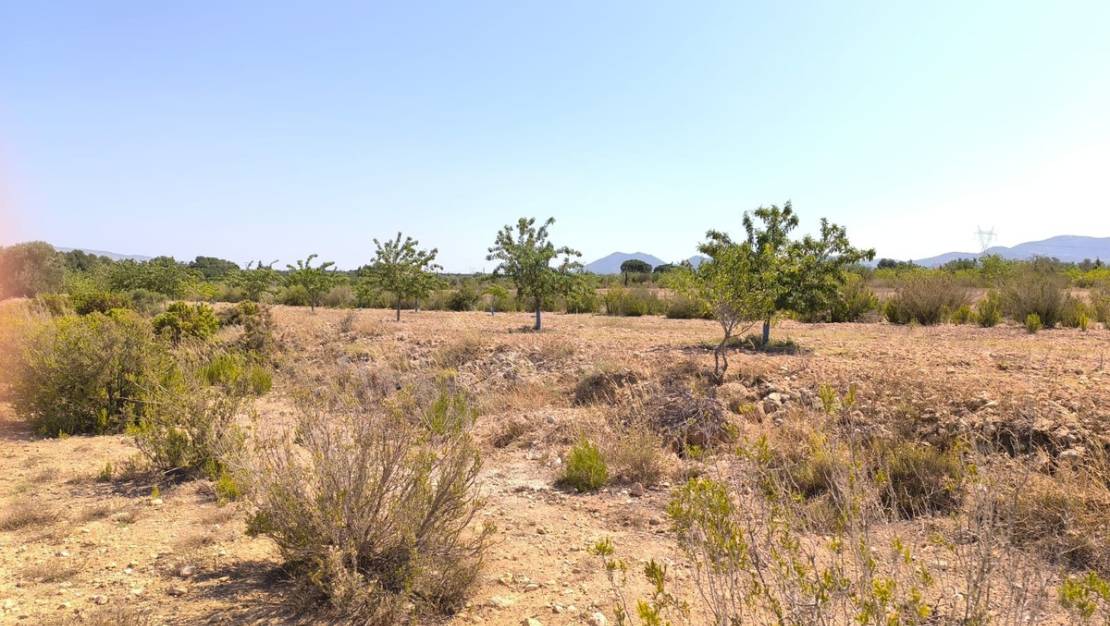 Sale - Country House - Villena - Villena Centro