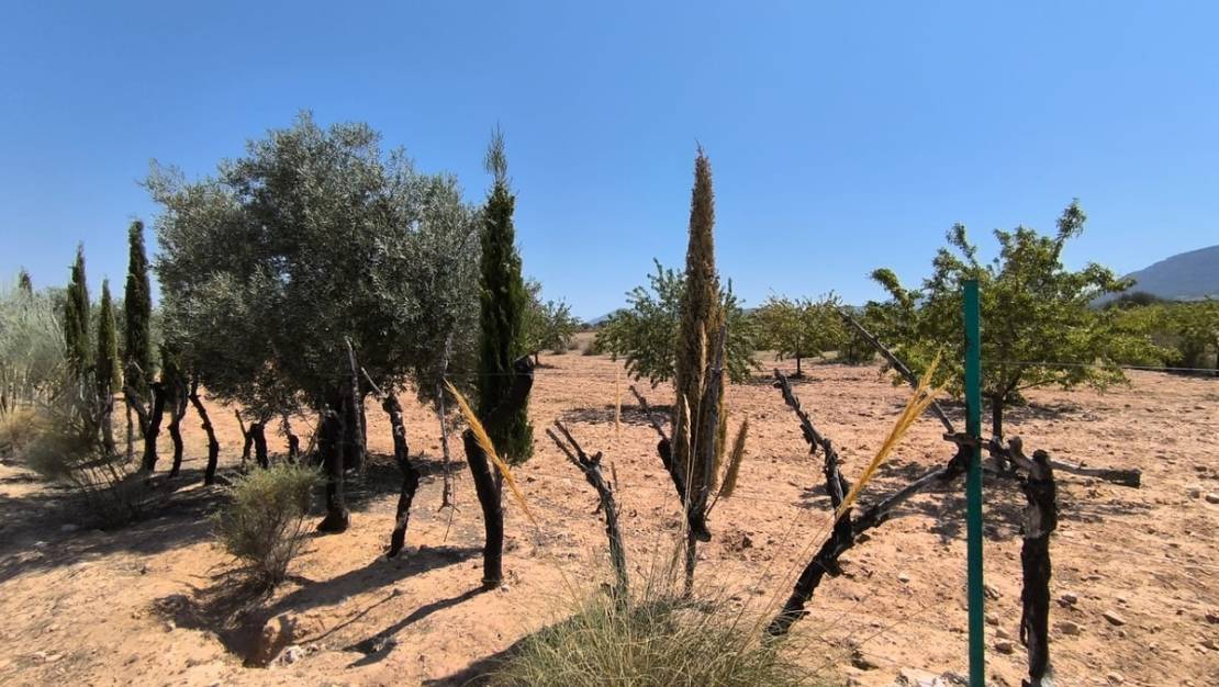 Sale - Country House - Villena - Villena Centro