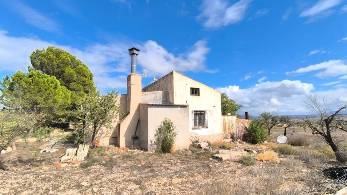 Sale - Country House - Yecla - Yecla Centro