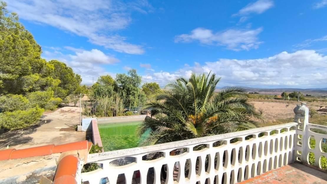 Sale - Country House - Yecla - Yecla Centro