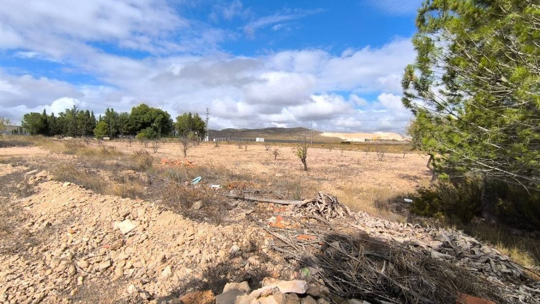 Sale - Country House - Yecla - Yecla Centro