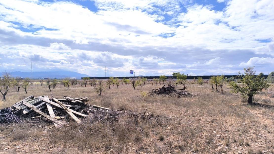 Sale - Country House - Yecla - Yecla Centro