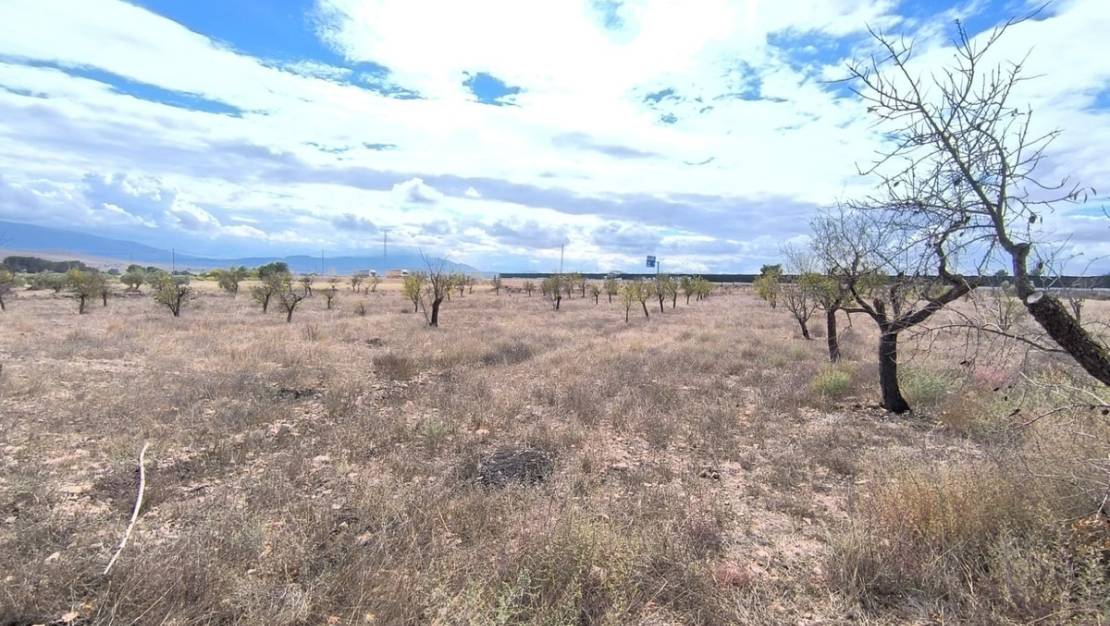 Sale - Country House - Yecla - Yecla Centro