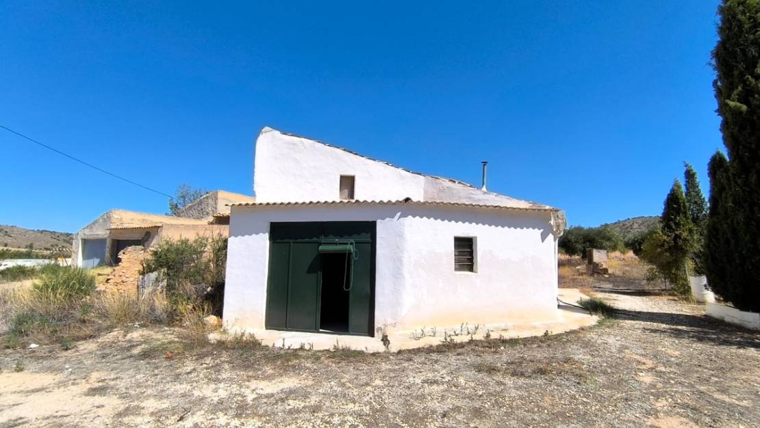 Sale - Country House - Yecla - Yecla Centro