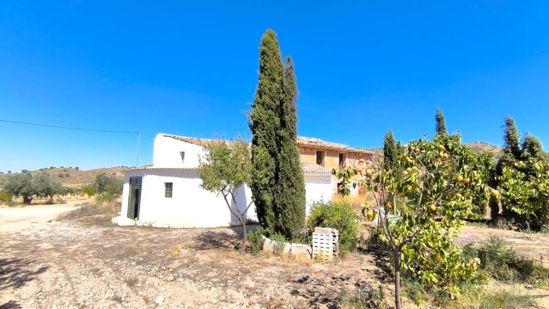 Sale - Country House - Yecla - Yecla Centro