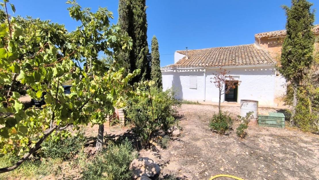 Sale - Country House - Yecla - Yecla Centro