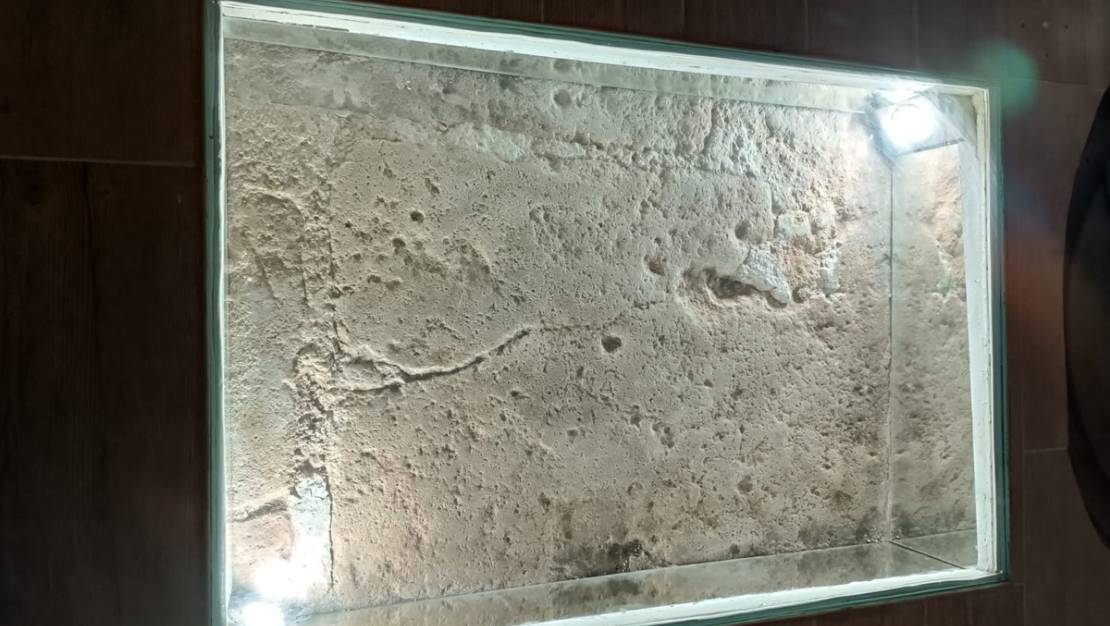 Sale - Country House - Yecla - Yecla Centro