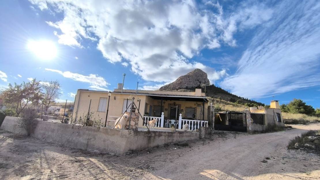Sale - Country House - Yecla - Yecla Centro