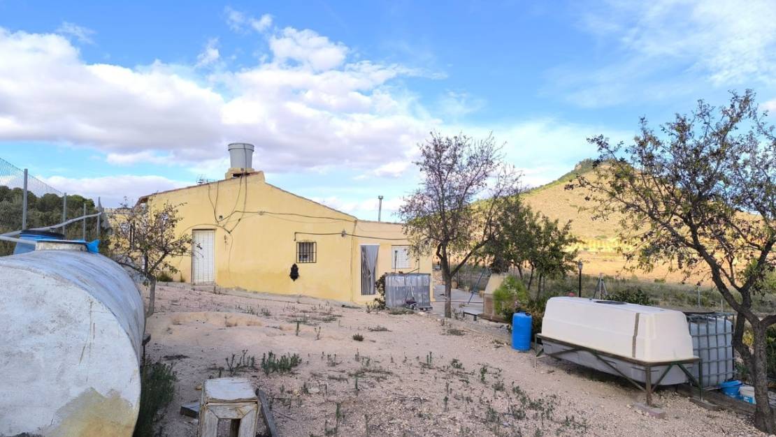 Sale - Country House - Yecla - Yecla Centro