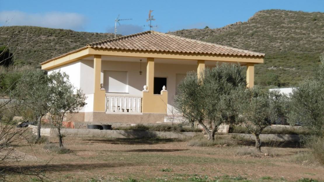 Sale - Country House - Yecla - Yecla Centro