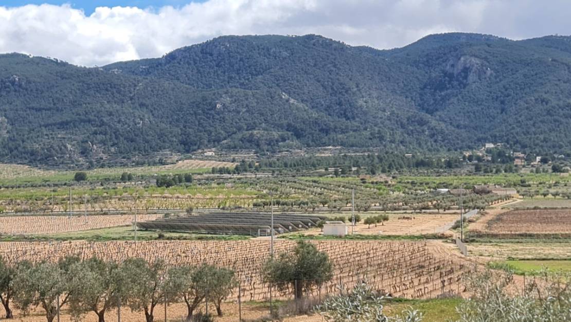 Sale - Country House - Yecla - Yecla Centro