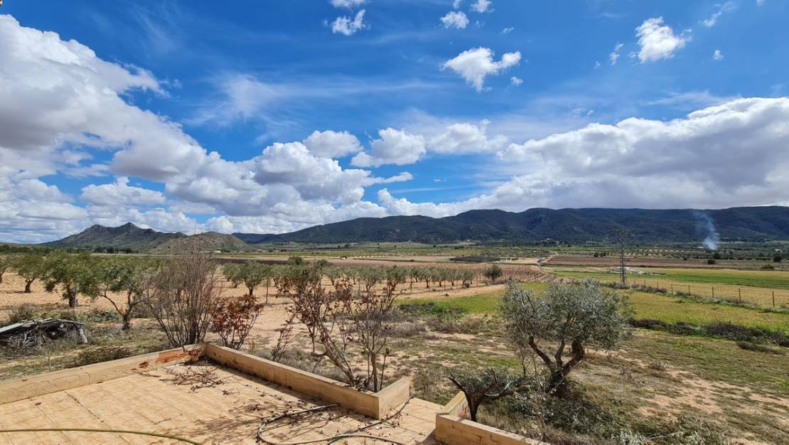 Sale - Country House - Yecla - Yecla Centro