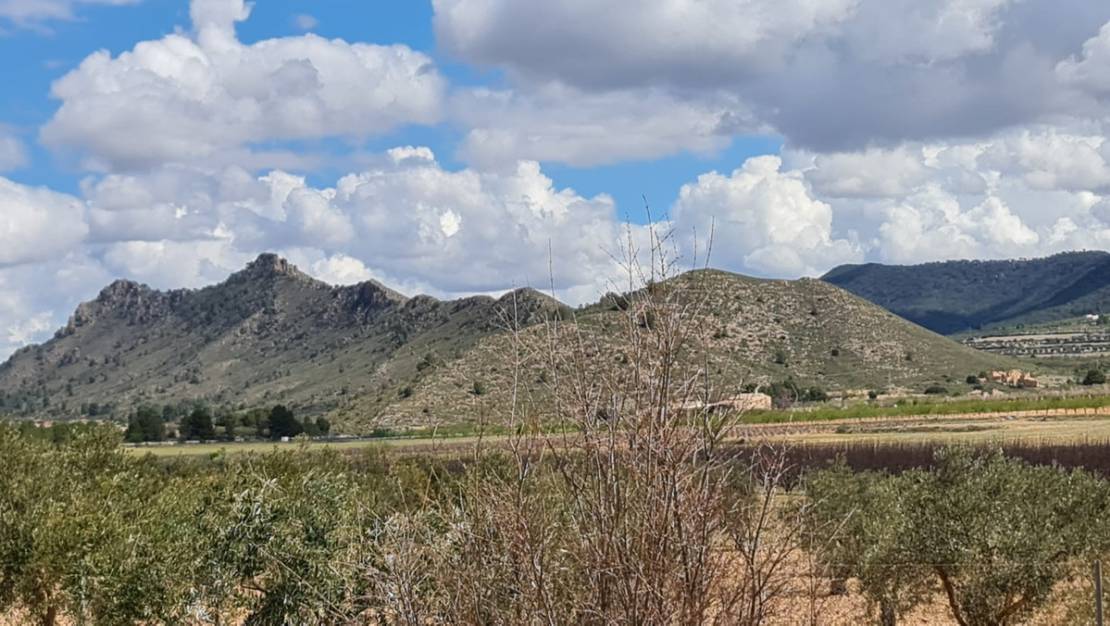 Sale - Country House - Yecla - Yecla Centro