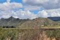 Sale - Country House - Yecla - Yecla Centro