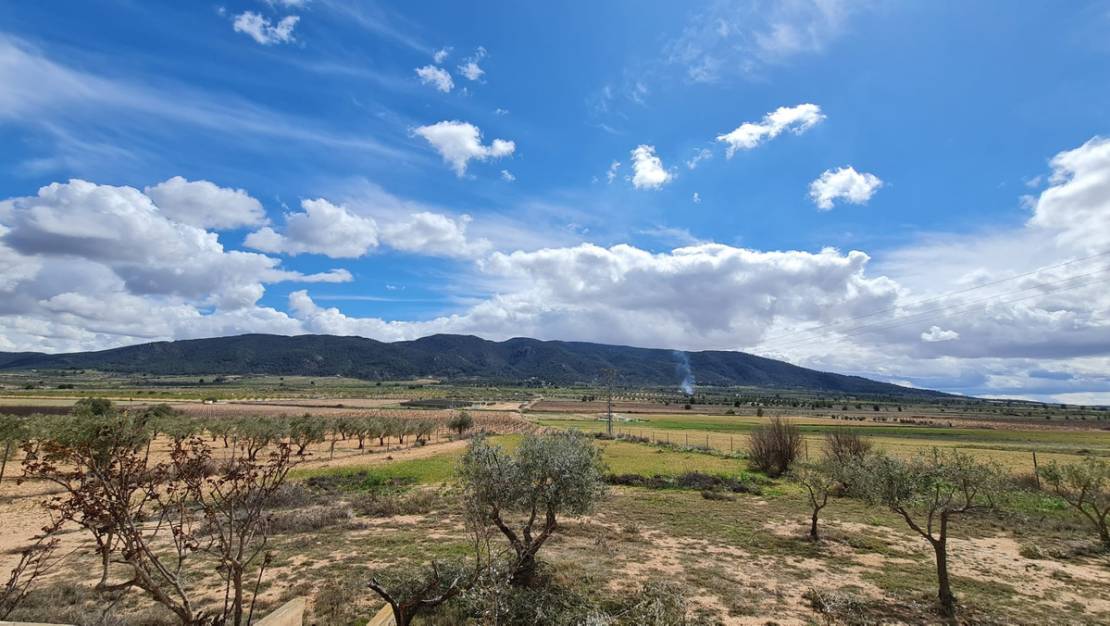 Sale - Country House - Yecla - Yecla Centro