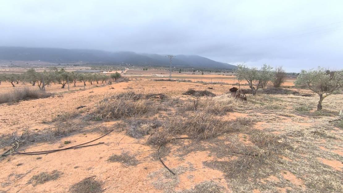 Sale - Country House - Yecla - Yecla Centro