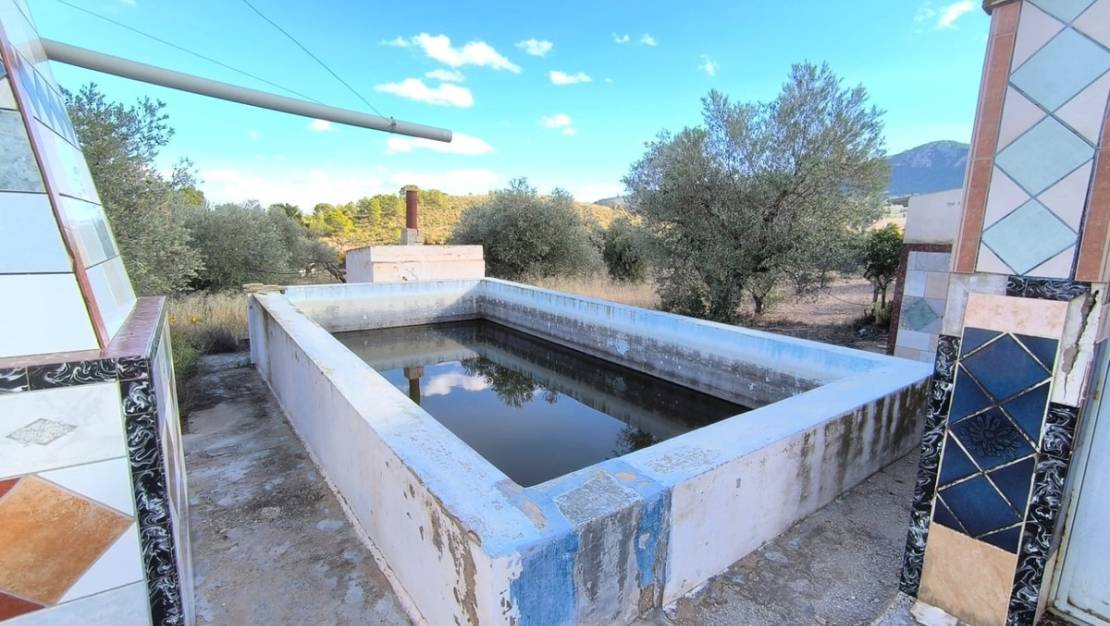 Sale - Country House - Yecla - Yecla Centro