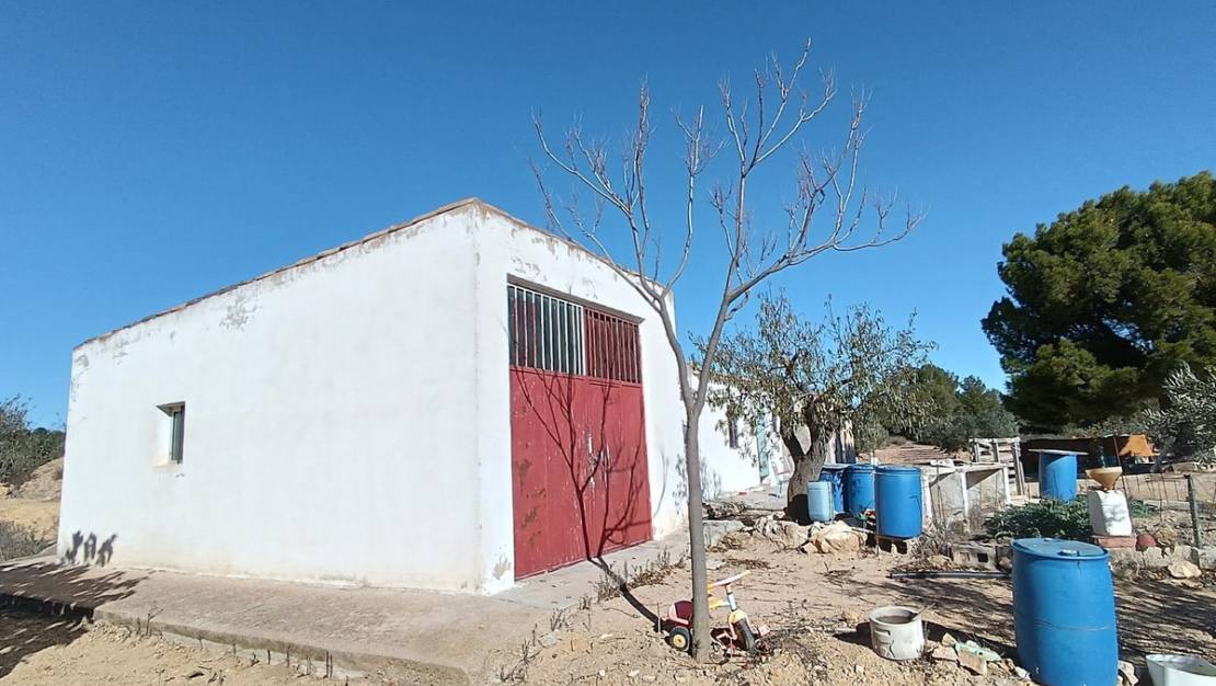 Sale - Country House - Yecla - Yecla Centro