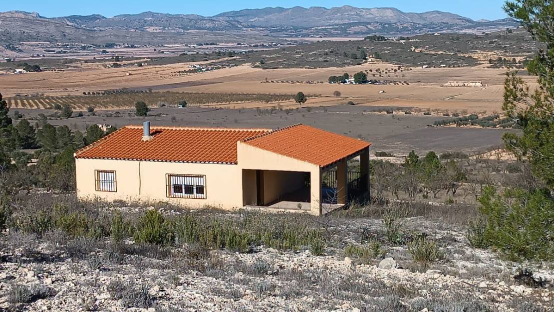 Sale - Country House - Yecla - Yecla Centro