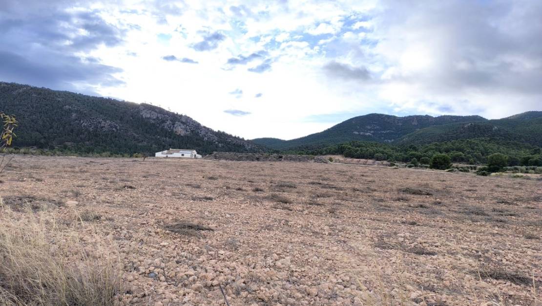 Sale - Country House - Yecla - Yecla Centro