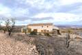 Sale - Country House - Yecla - Yecla Centro