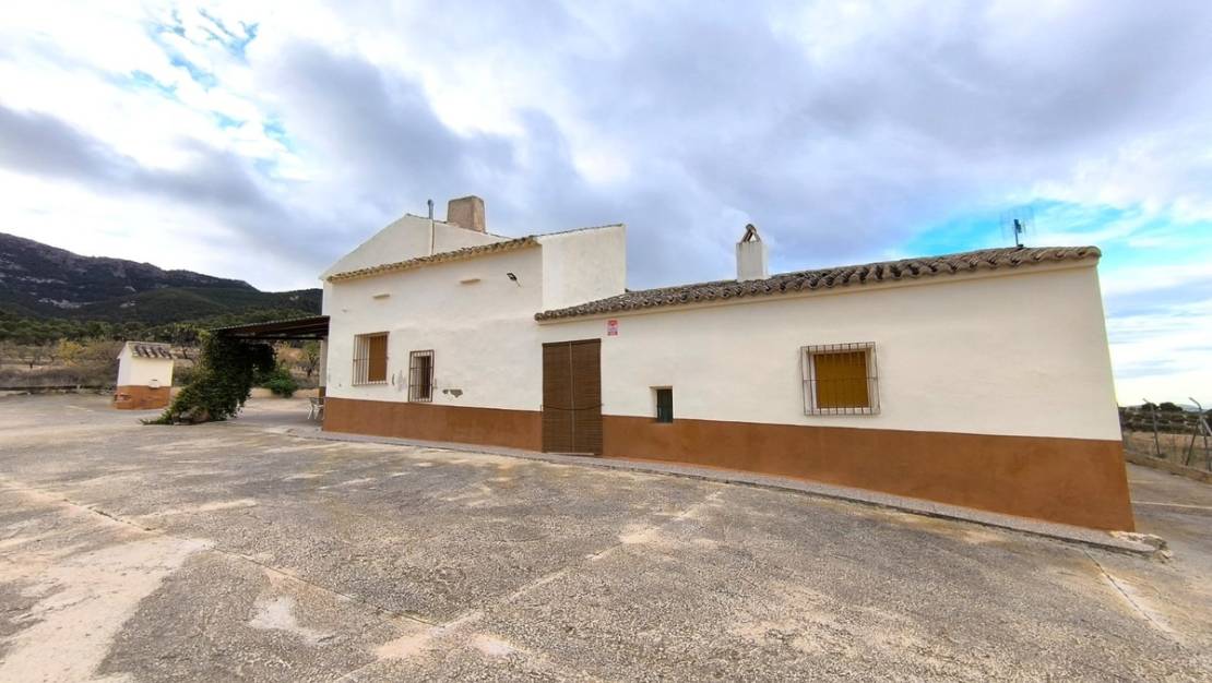 Sale - Country House - Yecla - Yecla Centro