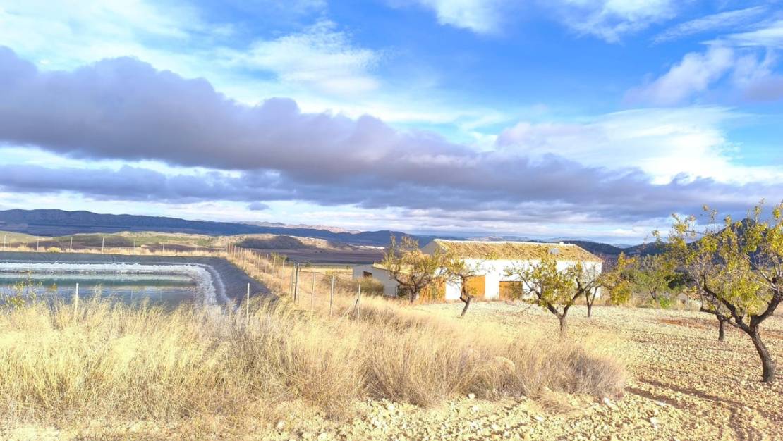 Sale - Country House - Yecla - Yecla Centro