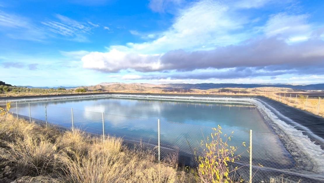 Sale - Country House - Yecla - Yecla Centro